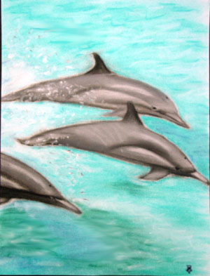 Three Dolphins - Pastel Chalk by Isabel Cattadoris