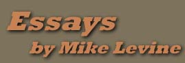 Essays by Mike Levine of the Expert Witness Radio show with Mike Levine and Kristina Borjesson